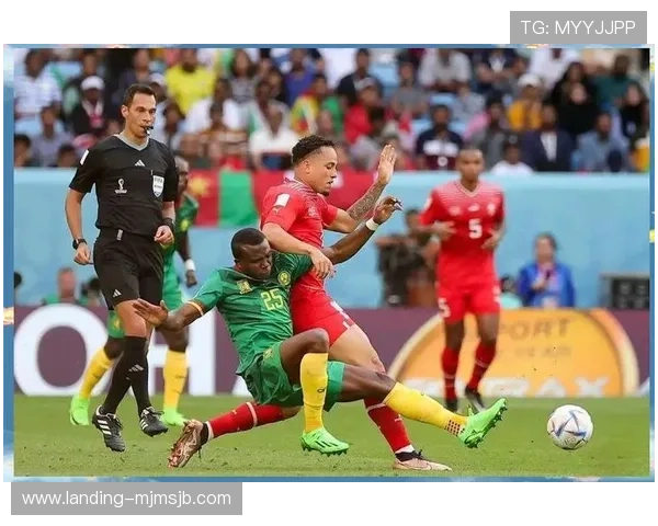 卡塔尔世界杯新闻报道：现场直击比赛精彩瞬间与球迷热情场面