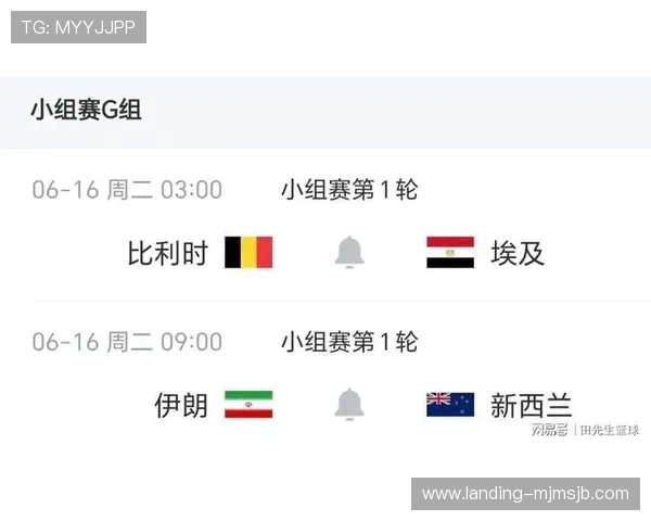 2026年世界杯埃及与伊朗比赛可能出现的突发事件及观赛风险防范措施